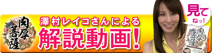 澤村レイコさんによる解説動画