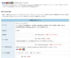 購入方法6:決済完了画面